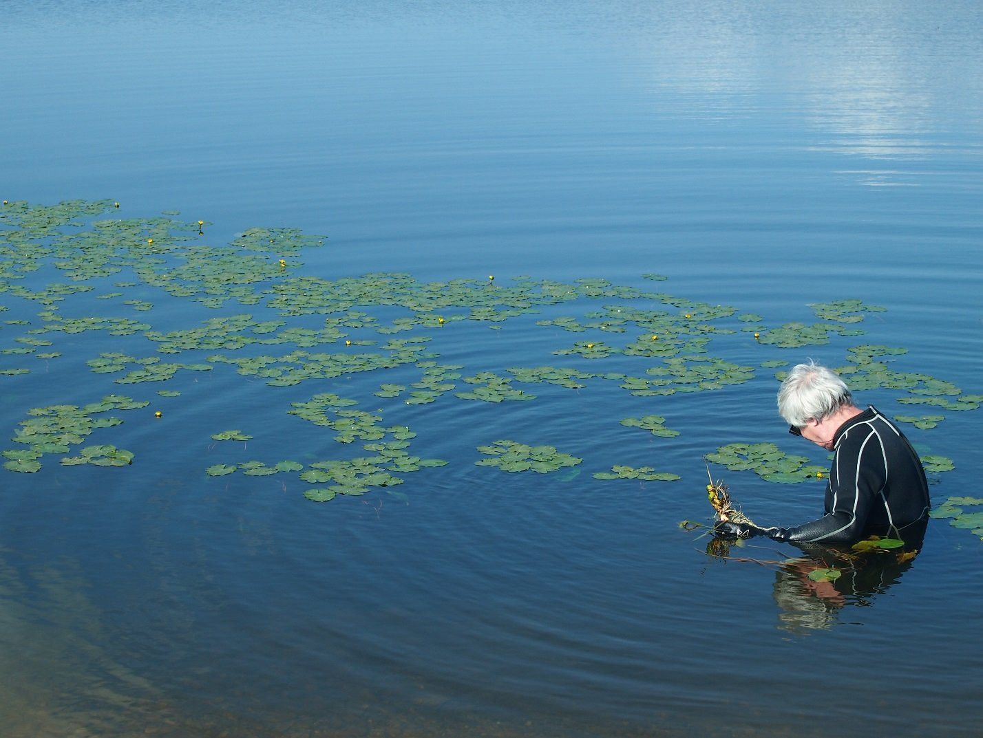 titov12-21July2018-2