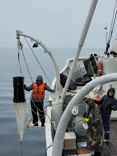 Сеть_20240610_152927