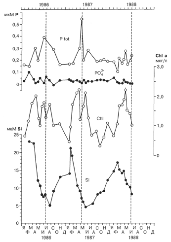 Динамика изменения концентраций оющего растворенного фосфора (P tot), ортофосфата, хлорофилла a и растворенного кремния в водах озера Мичиган (по данным Brooks, Edgington, 1994).